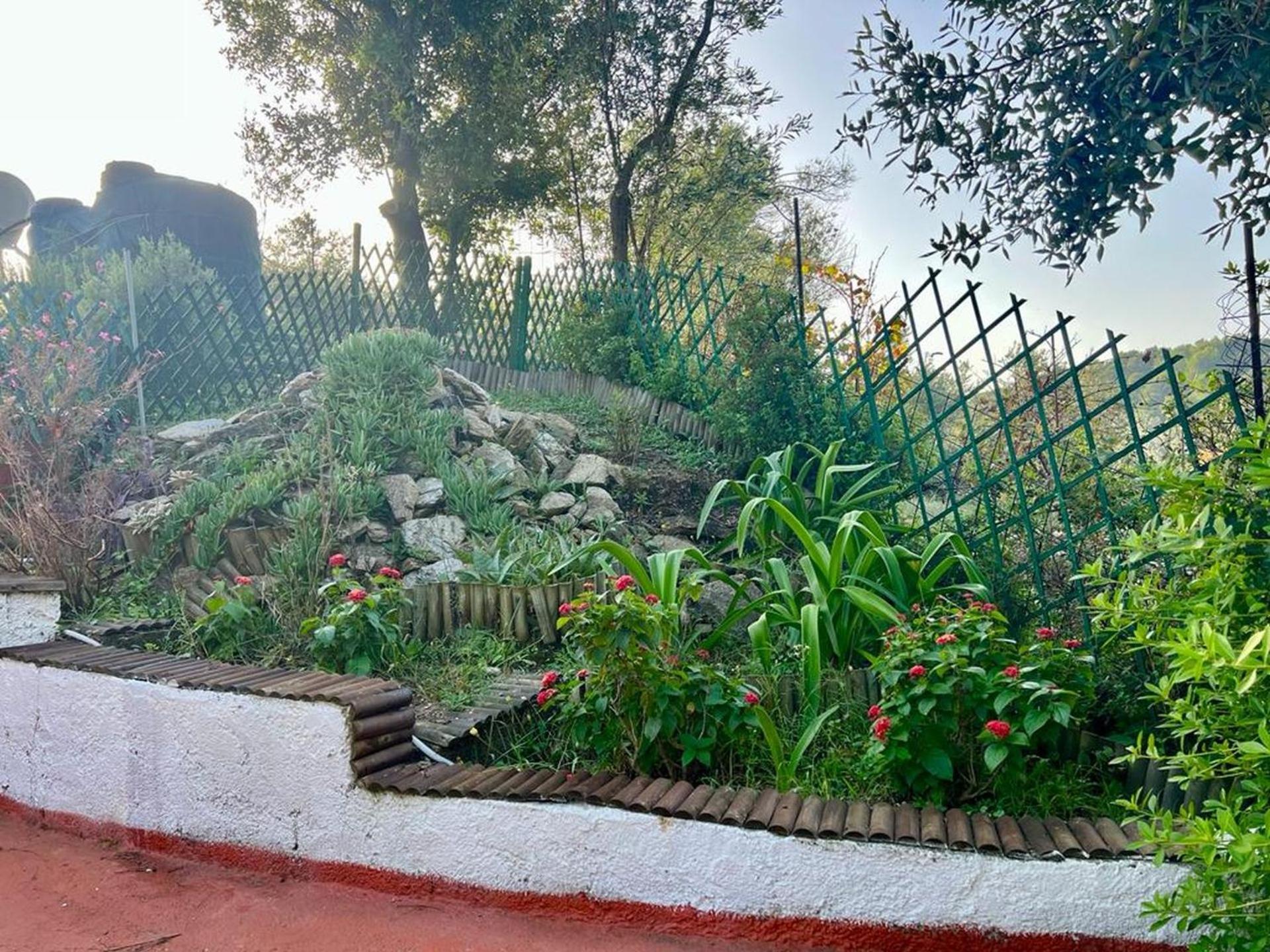 Villa Platanias 圣帕拉斯凯维 外观 照片